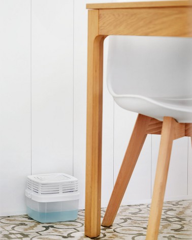 Absorbe la humedad sin resecar el ambiente en casa
