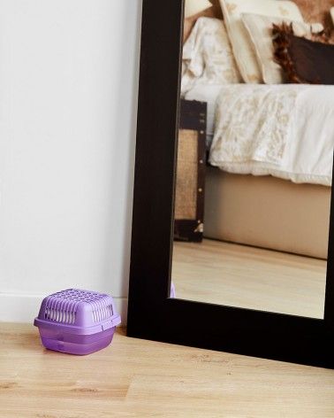 Elimina la humedad y los malos olores con el aparato deshumidificador Smart de humydry