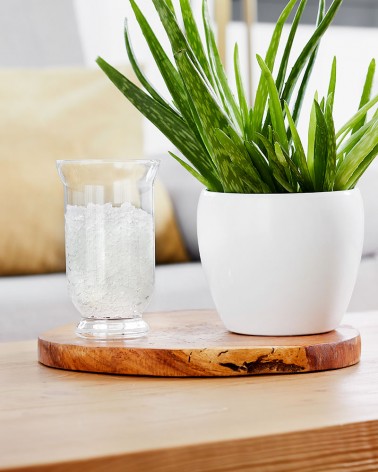 Decora y neutraliza los olores del hogar con la fórmula profesional freshwave a base de ingredientes naturales