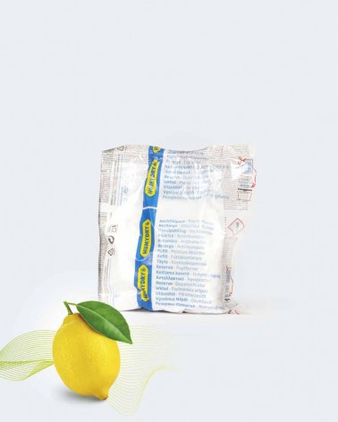 Pack diez recambio antihumedad 450g aroma limón