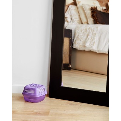 Elimina la humedad y los malos olores con el aparato deshumidificador Smart de humydry