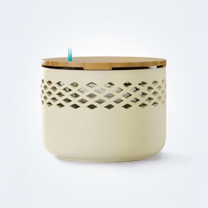 Dispositivo antihumedad decorativo para el hogar con pastilla de 500g