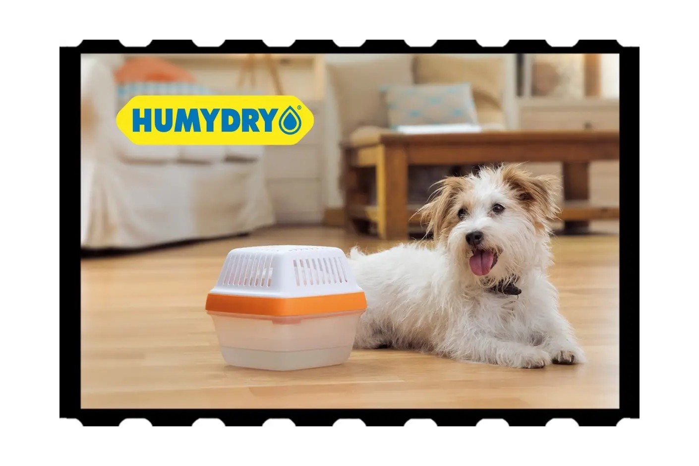 Humydry en TV “Protege tu hogar de la humedad”