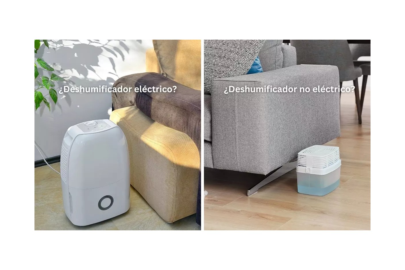El mejor deshumidificador contra los problemas de humedad