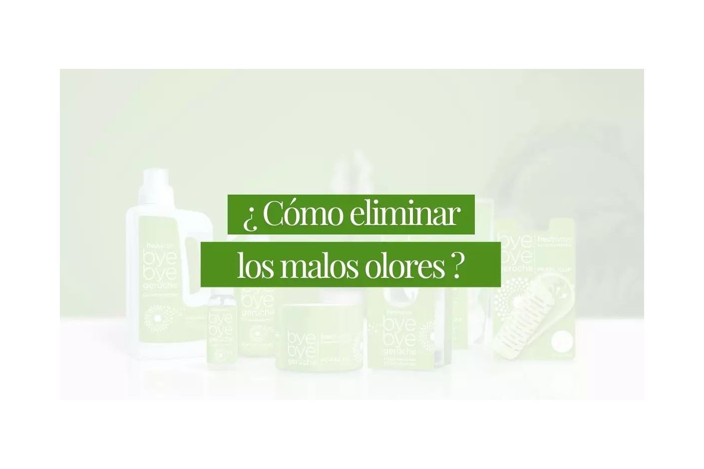 Cómo eliminar los olores de casa y de la ropa