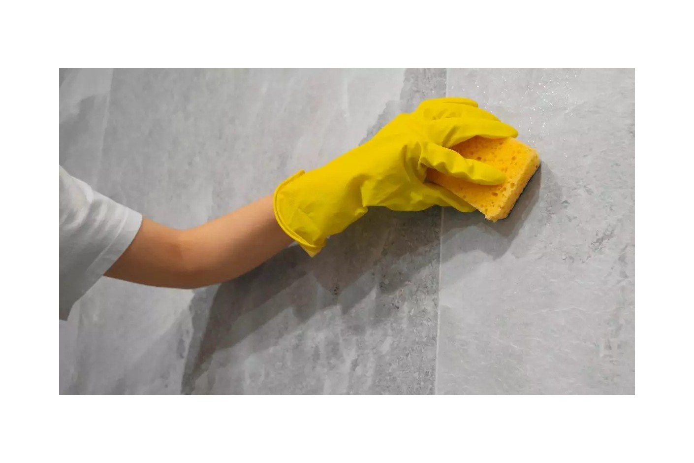 Consejos para evitar y limpiar el moho en las paredes