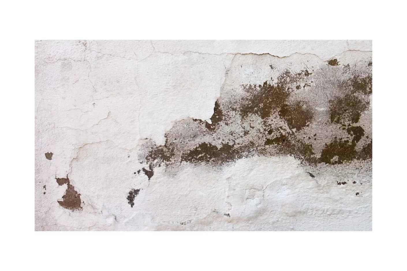 ¿Cuál es el mejor tratamiento contra la humedad?