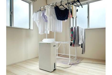 ¿Cuánto tarda un deshumidificador en eliminar el olor a humedad? Factores clave y resultados progresivos