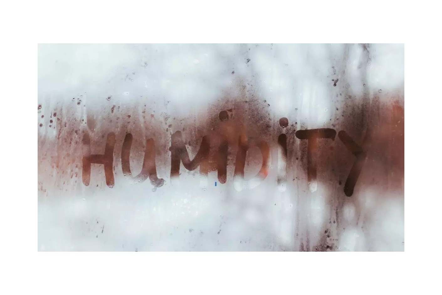 Mitos y realidades sobre la humedad: ¿cómo afecta a tu hogar y a tu salud?