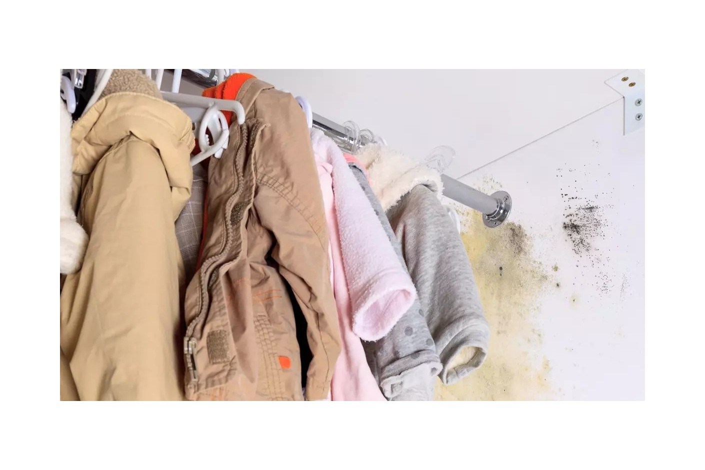 ¿Cómo quitar la humedad en armarios? - Humydry