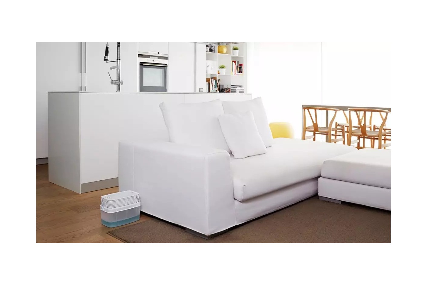 ¿Problemas de humedad en casa?