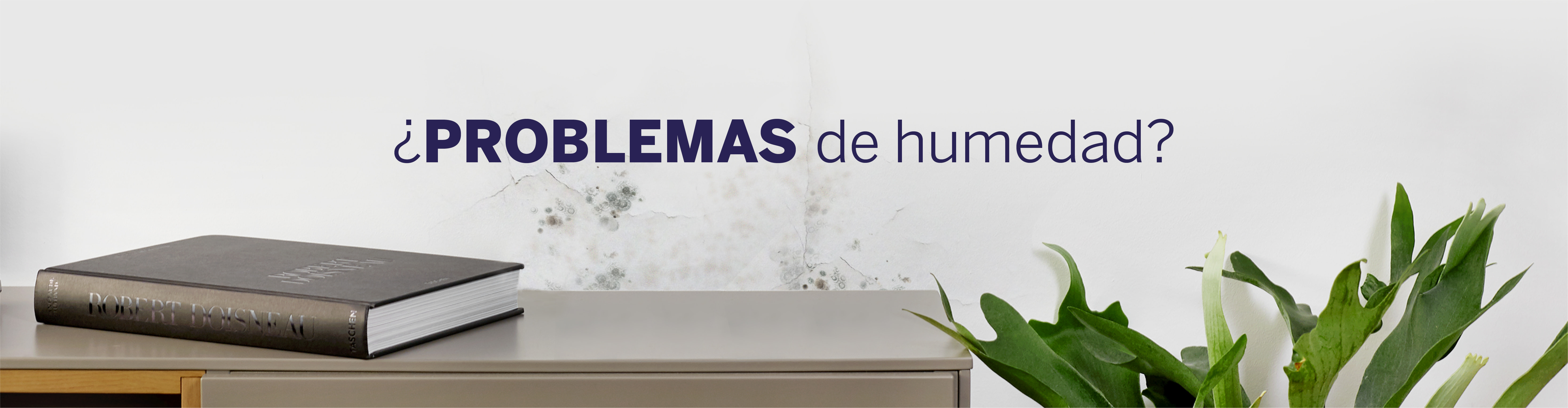 Qué es un deshumificador y qué beneficios ofrece? Eliminá humedad, hongos y  malos olores de tu casa - EL PAÍS Uruguay